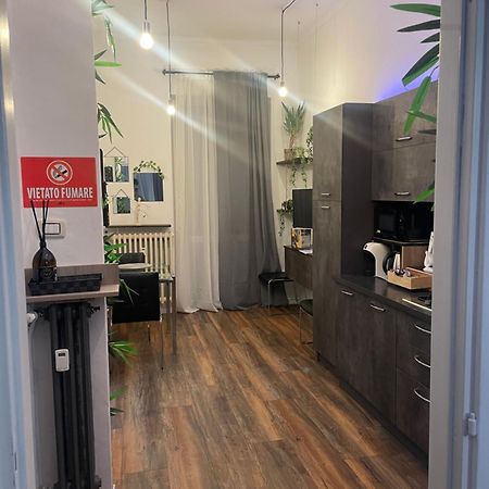 Show House Turyn Zewnętrze zdjęcie