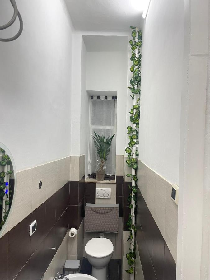 Show House Turyn Zewnętrze zdjęcie