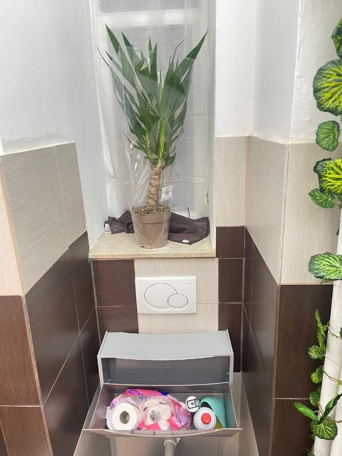 Show House Turyn Zewnętrze zdjęcie