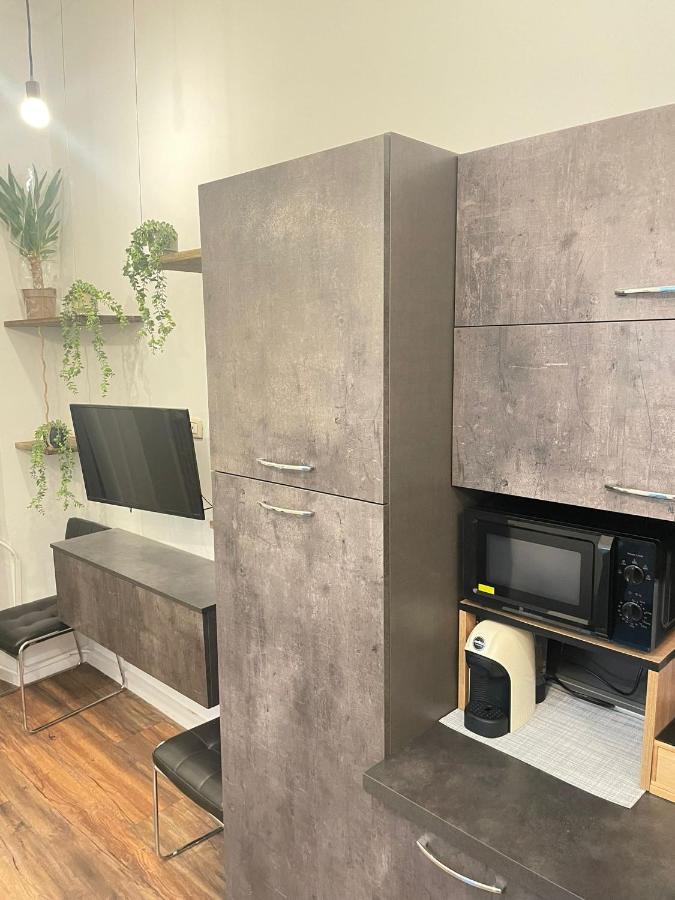 Show House Turyn Zewnętrze zdjęcie